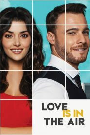Love is in the air Temporada 2
