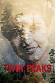 Twin Peaks: Temporada 3