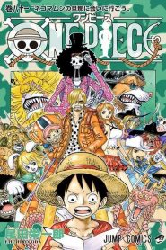 One Piece: Temporada 18