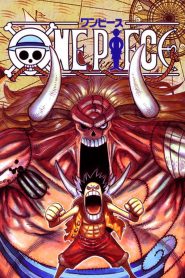 One Piece: Temporada 12