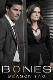 Bones: Temporada 2