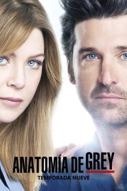 Anatomía de Grey: Temporada 9