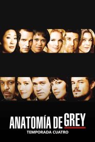 Anatomía de Grey: Temporada 4
