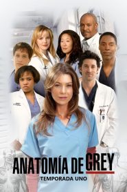 Anatomía de Grey: Temporada 1
