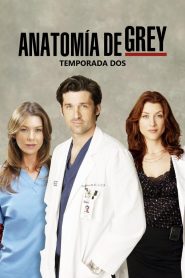 Anatomía de Grey: Temporada 2