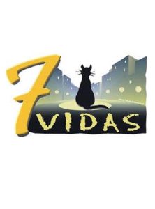 7 vidas: Temporada 12