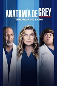 Anatomía de Grey: Temporada 18