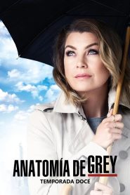 Anatomía de Grey: Temporada 12