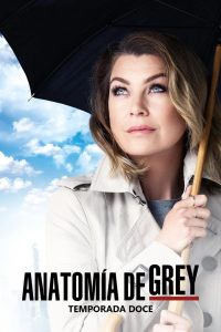 Anatomía de Grey: Temporada 12