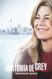 Anatomía de Grey: Temporada 15