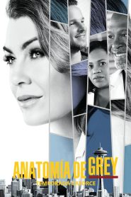 Anatomía de Grey: Temporada 14