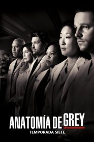 Anatomía de Grey: Temporada 7