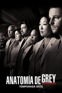 Anatomía de Grey: Temporada 7