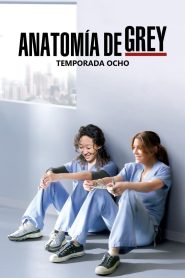 Anatomía de Grey: Temporada 8