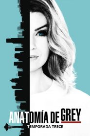 Anatomía de Grey: Temporada 13