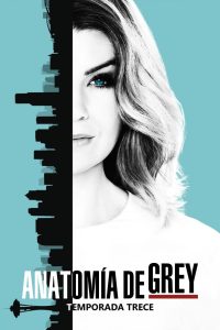Anatomía de Grey: Temporada 13
