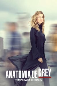 Anatomía de Grey: Temporada 16