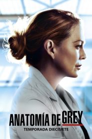 Anatomía de Grey: Temporada 17