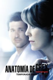 Anatomía de Grey: Temporada 11