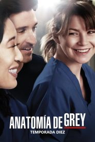 Anatomía de Grey: Temporada 10