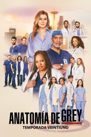 Anatomía de Grey: Temporada 21