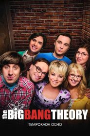 Big Bang: Temporada 8