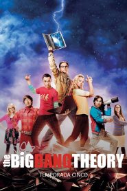 Big Bang: Temporada 5
