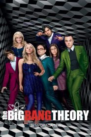Big Bang: Temporada 6