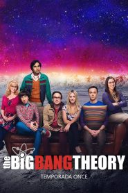Big Bang: Temporada 11