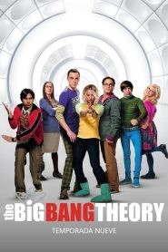 Big Bang: Temporada 9