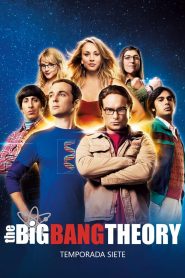 Big Bang: Temporada 7